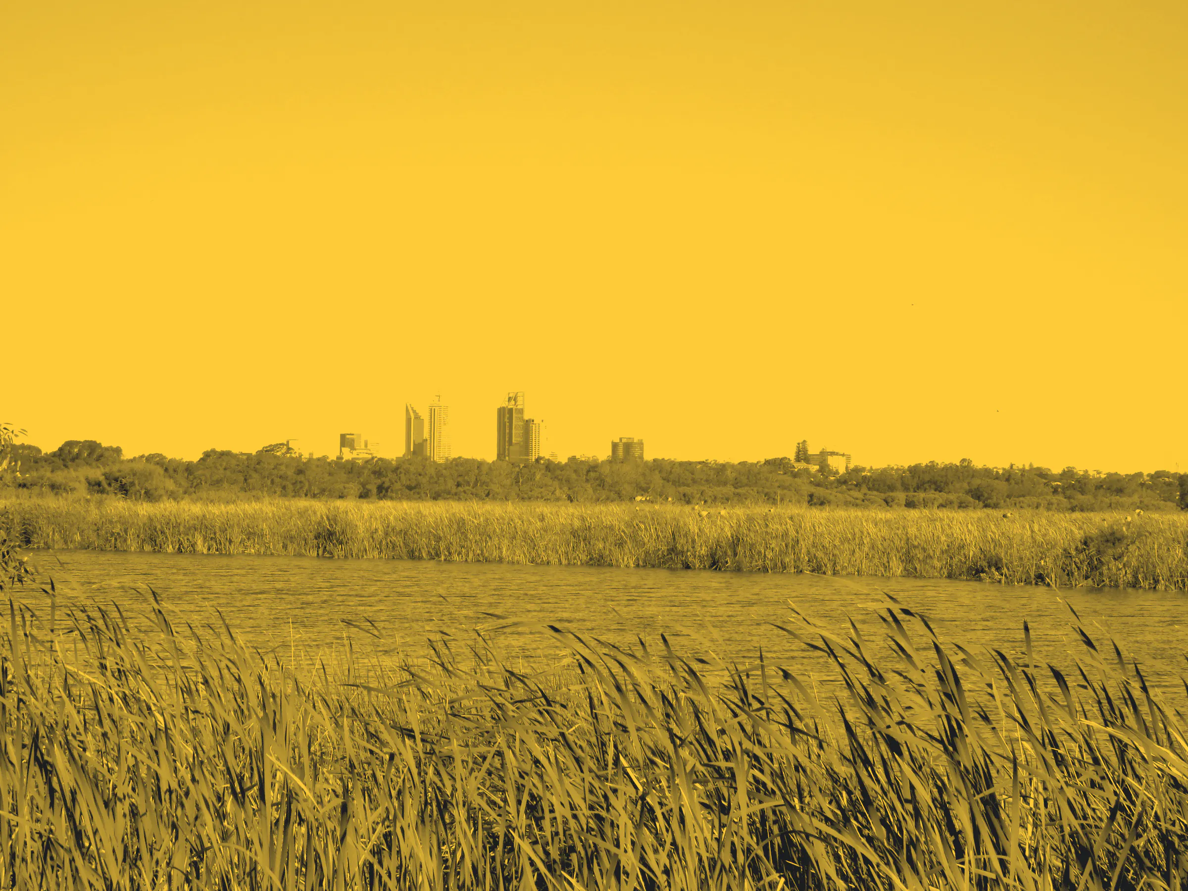 Herdsman Lake, with the Perth city skyline on the horizon